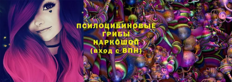 Псилоцибиновые грибы Magic Shrooms  Старый Крым 